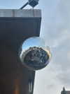 daisy_r_19 Altpins Profile Picture
