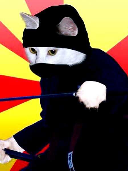 milkibunshehe instagram image archive image