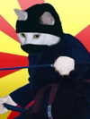 milkibunshehe Altpins Profile Picture
