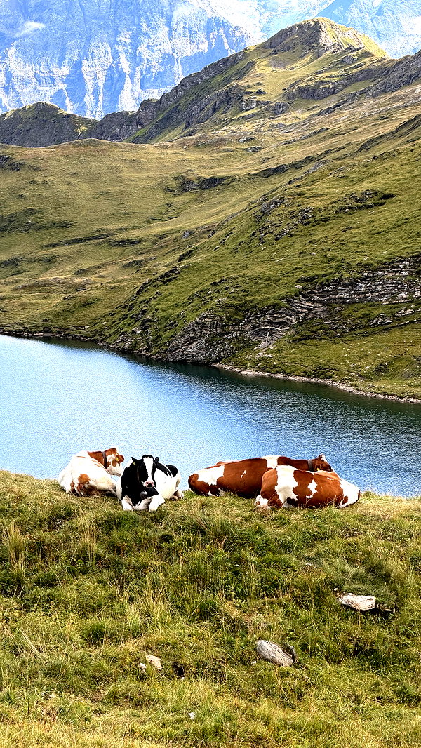 sullivang_ instagram image archive image
