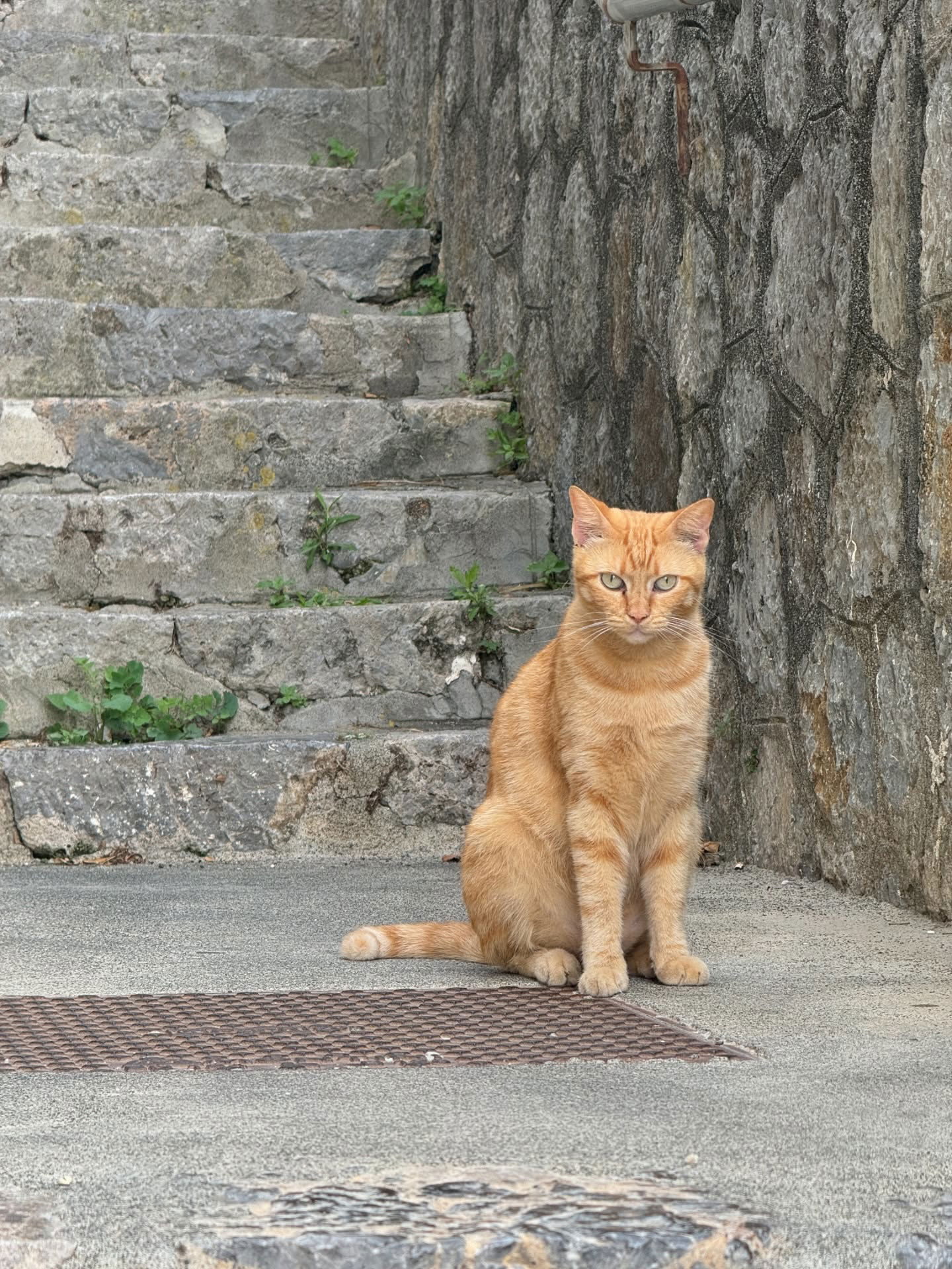 jasminxie2 instagram image archive image