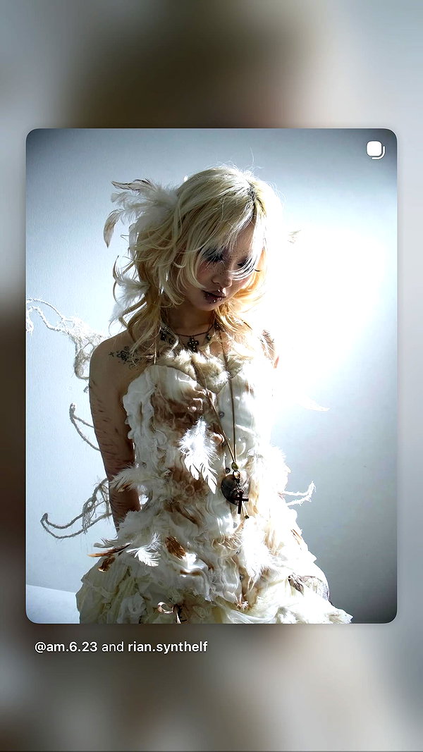 angelwithashotgunxx archive image