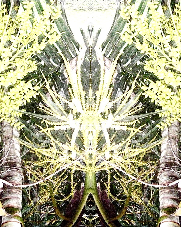 lolontlia instagram image archive image