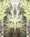 lolontlia Altpins Profile Picture