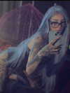 taxevasionkoala Altpins Profile Picture