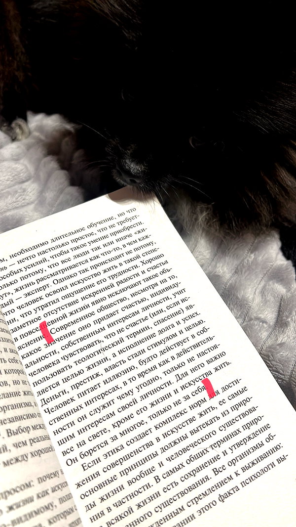 1vecua instagram image archive image