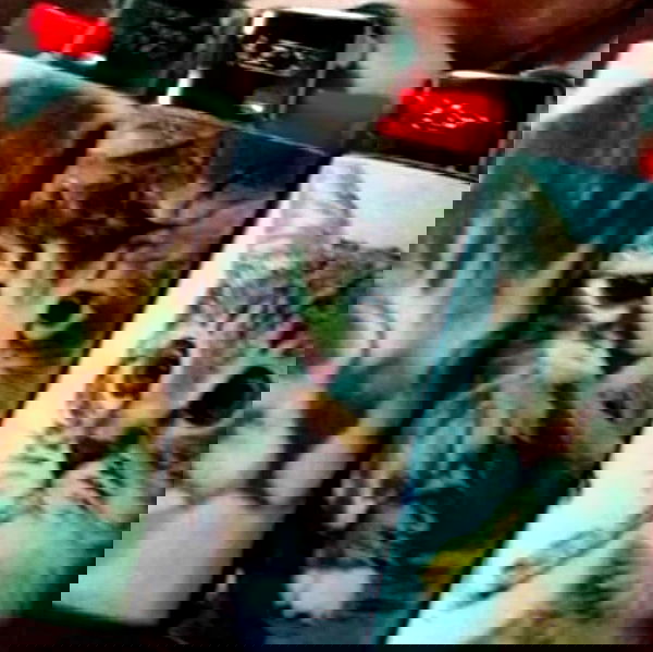 missnyxdawn missnyxdawn archive image