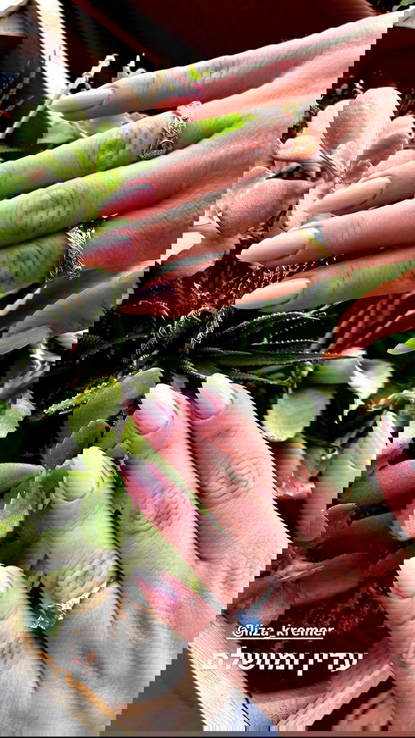 nails.by.natashi nails.by.natashi archive image