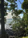 daisy_r_19 Altpins Profile Picture