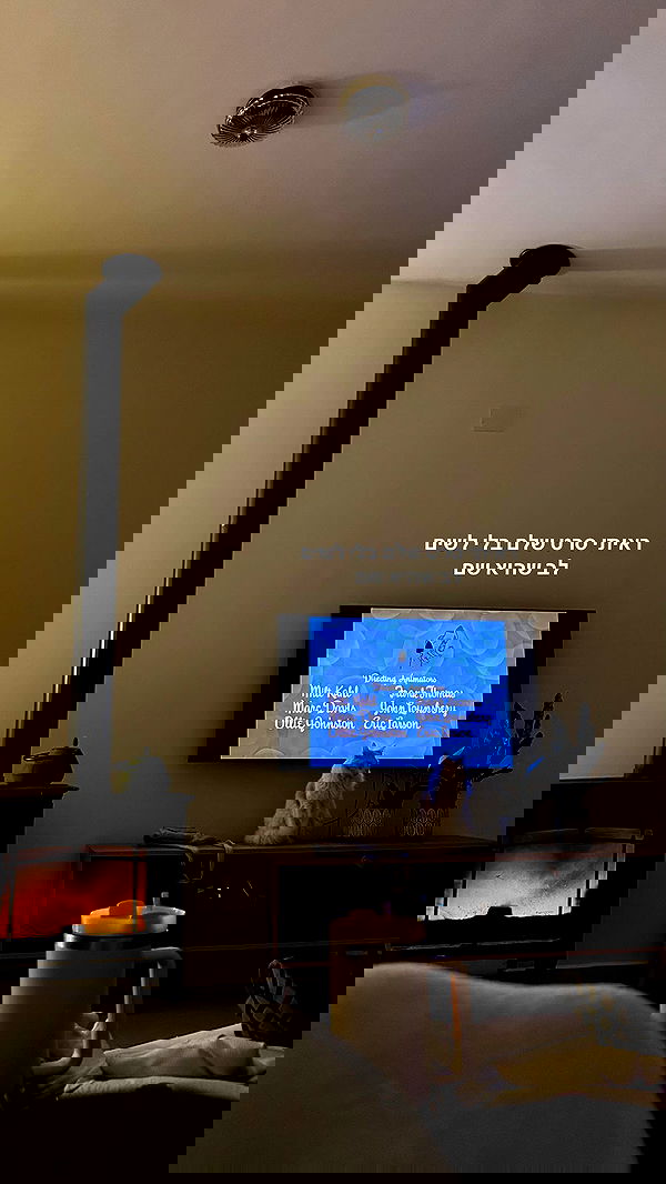 tuliprivet tuliprivet archive image