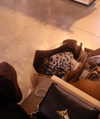 lian_sabag8 Altpins Profile Picture