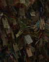 bugz4brainz Altpins Profile Picture