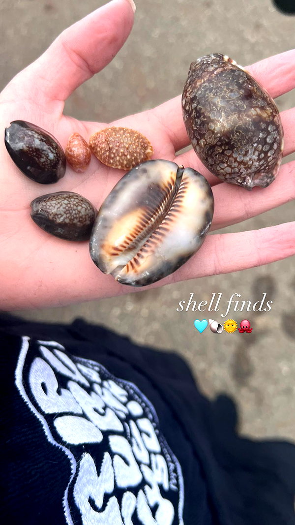 chloerosenbaum instagram image archive image
