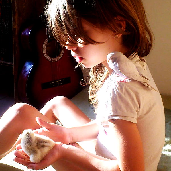 elia.shinar instagram image archive image