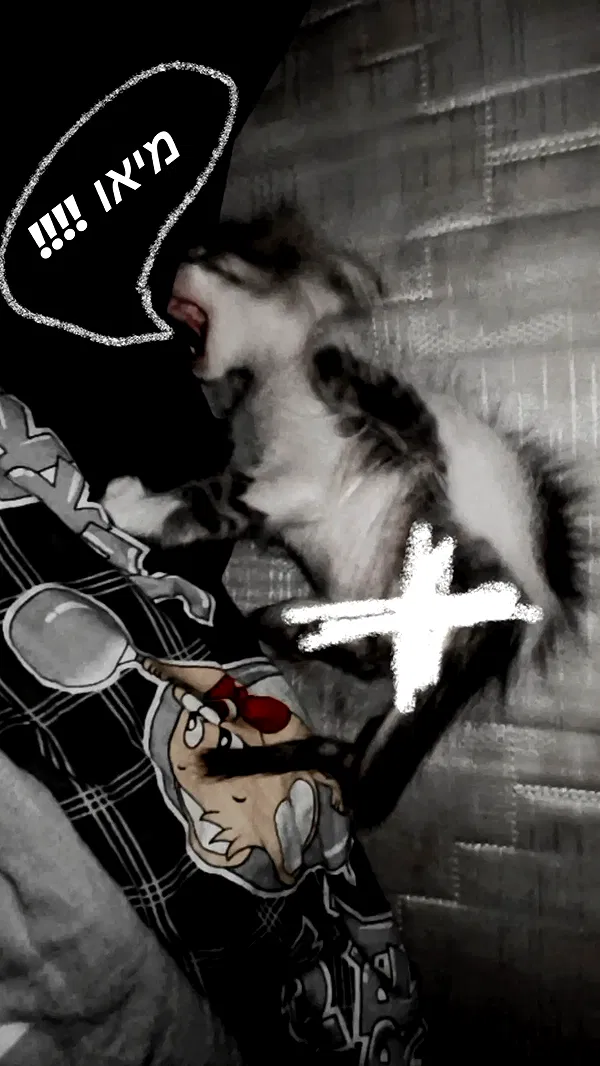 moonyyyya moonyyyya archive image