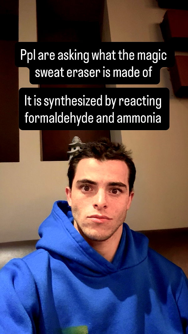 swholeanimal instagram image archive image