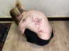 mortimertats Altpins Profile Picture