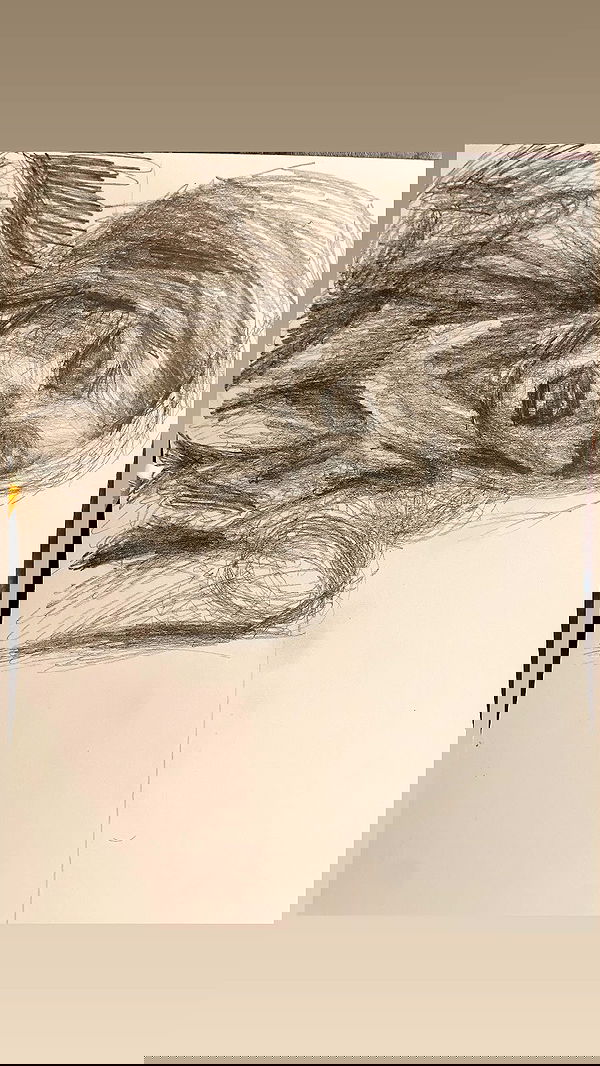 noale4774 noale4774 archive image