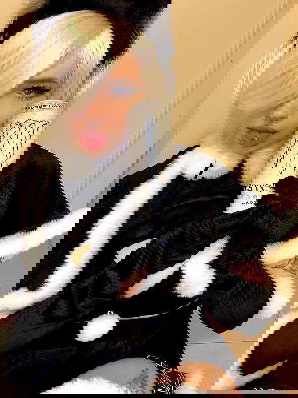 chibinekopurr chibinekopurr archive image