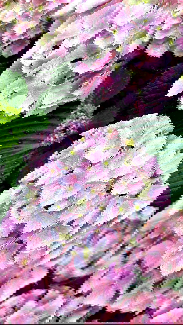 taylor.creeden taylor.creeden archive image