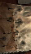 laluzone Altpins Profile Picture