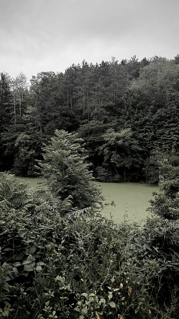danvyee archive image