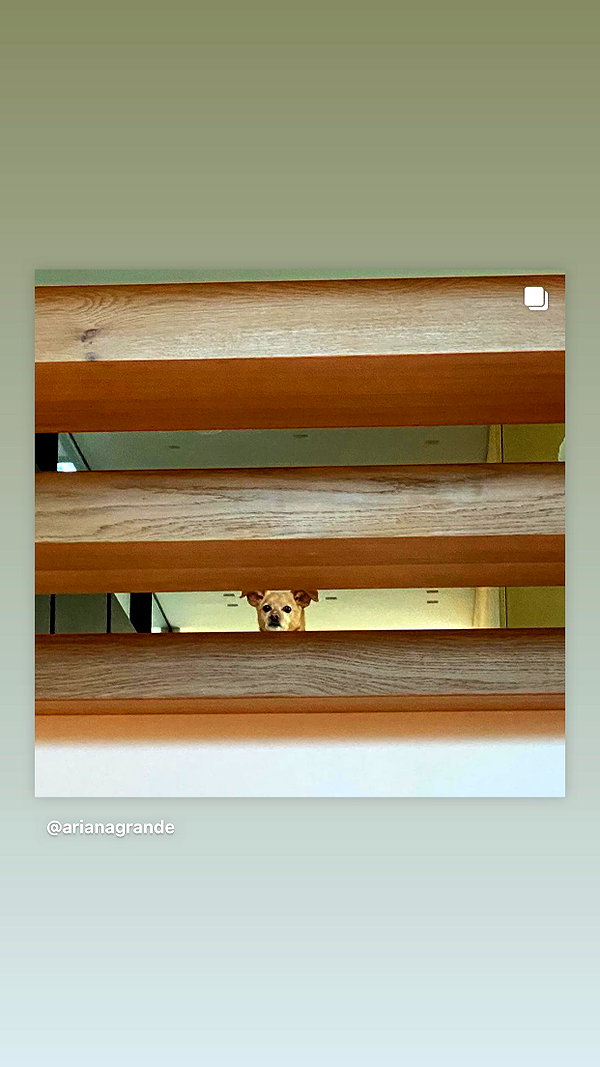 arianagrande instagram image archive image