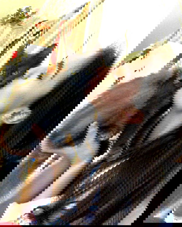 kkulakovaa image ~ Altpins