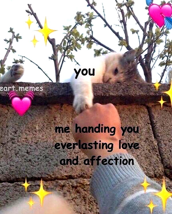 kieraplease instagram image archive image