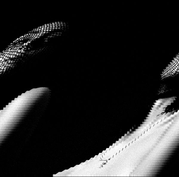 taylor.creeden taylor.creeden archive image