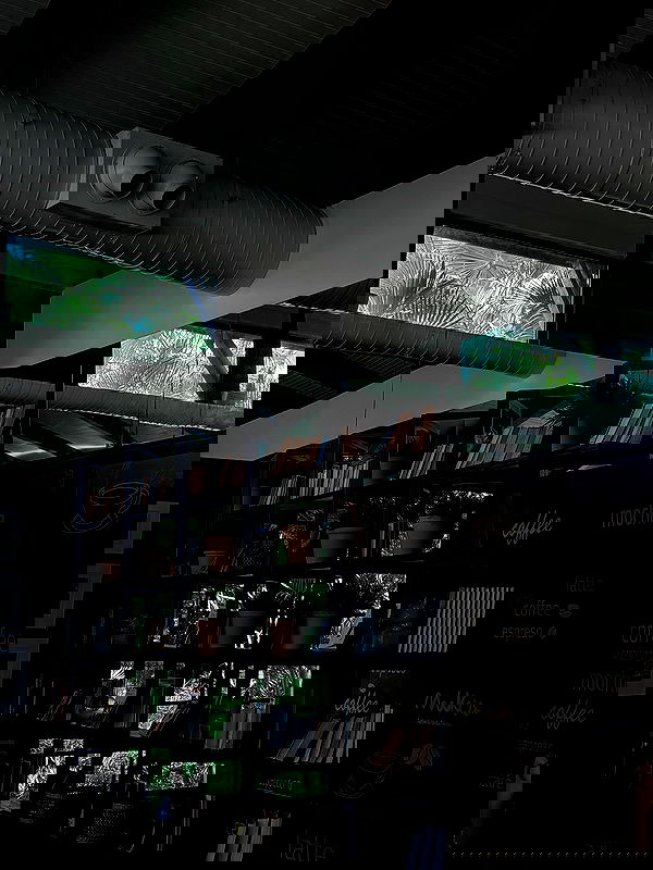 gwendolynceline gwendolynceline archive image