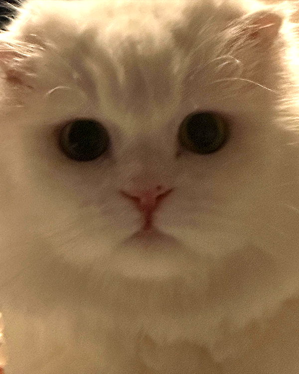 gakioyo instagram image archive image