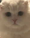 gakioyo Altpins Profile Picture