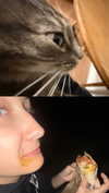 stranstvieperaa Altpins Profile Picture