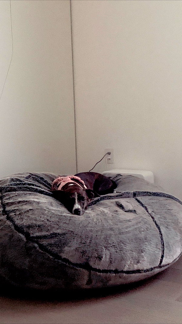 arianagrande instagram image archive image