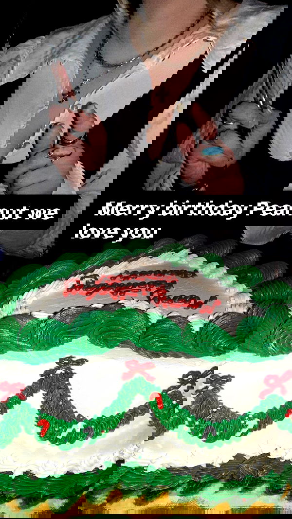 haylujan haylujan archive image