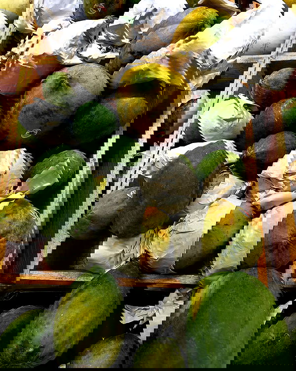 manjolamuriqi manjolamuriqi archive image