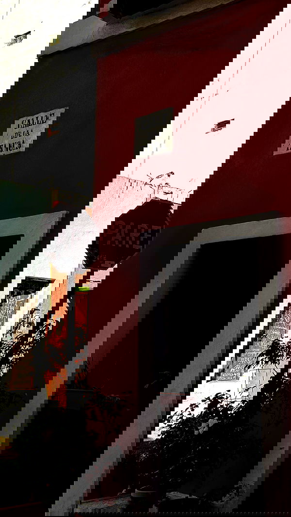 taylor.creeden taylor.creeden archive image