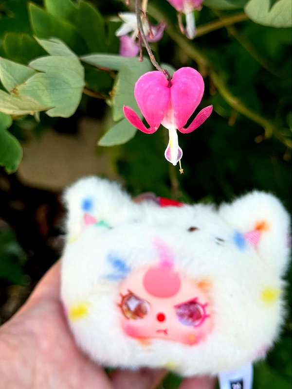 mewisa instagram image archive image