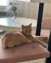 owlydiaa Altpins Profile Picture