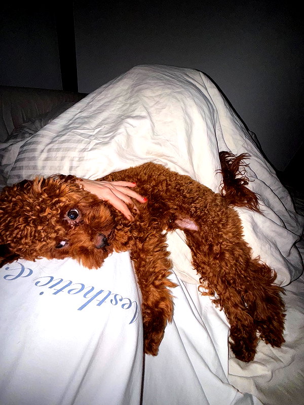daryanedarya instagram image archive image