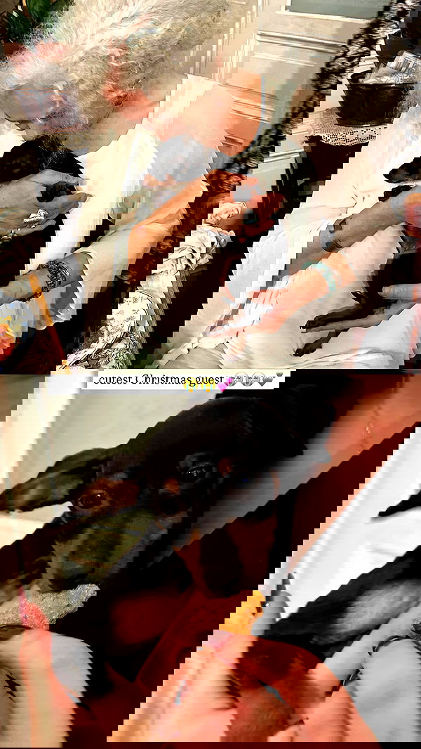 manjolamuriqi manjolamuriqi archive image