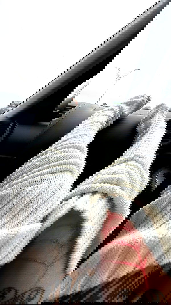 zommmbri image ~ Altpins