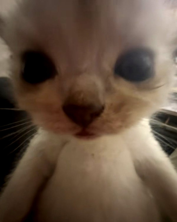 antijuls instagram image archive image