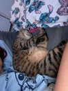 shanidahan7 Altpins Profile Picture
