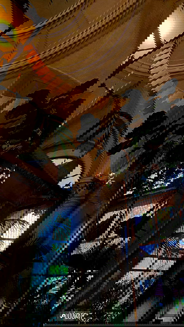 taylor.creeden taylor.creeden archive image