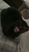 olivia.bolgerr Altpins Profile Picture