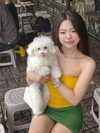 lyhythuedoxinh Altpins Profile Picture