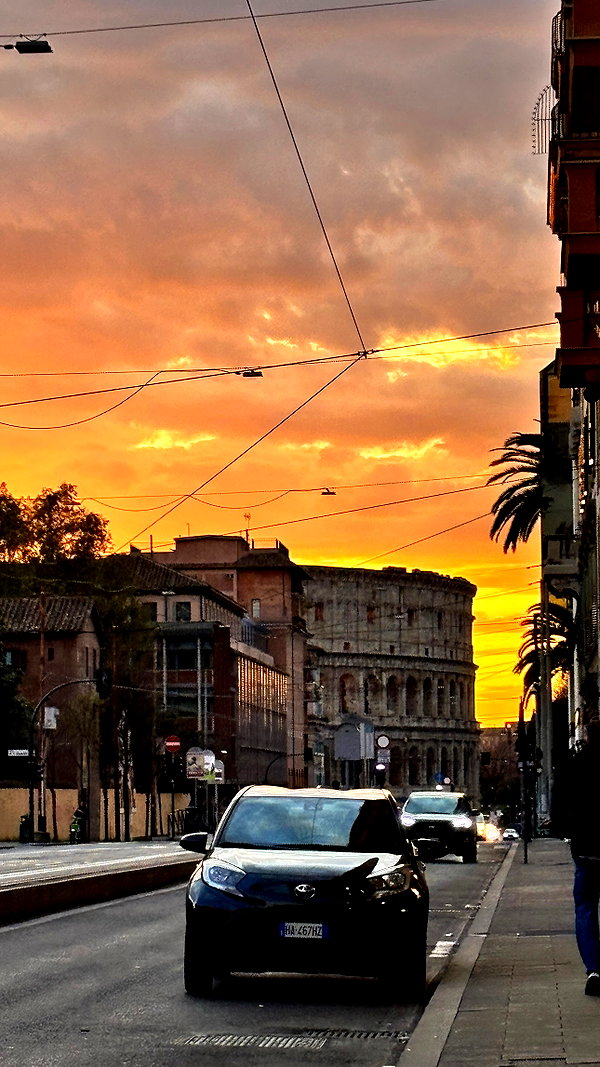 elsgatti instagram image archive image