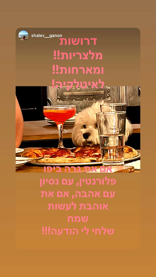 linraimoch instagram image archive image